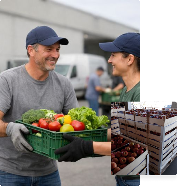 Il nostro team al lavoro